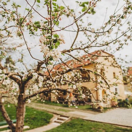 Boutique Apartman Speicher Prague Luaran gambar