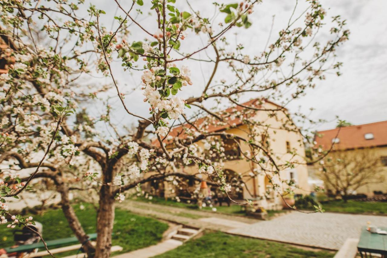 Boutique Apartman Speicher Prague Luaran gambar
